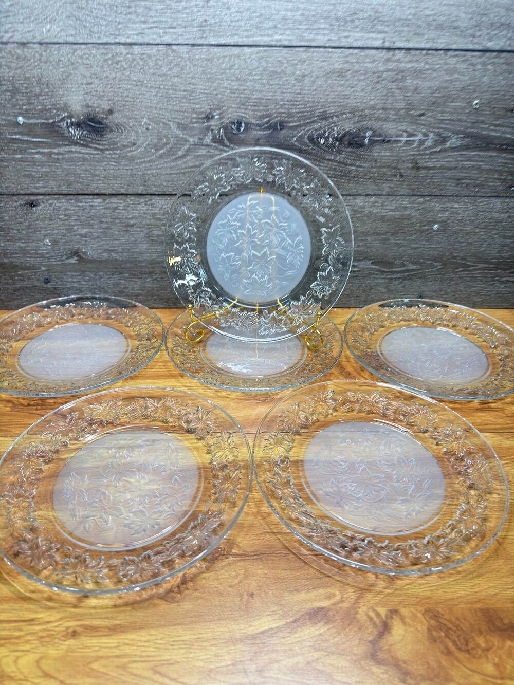 Princess House Fantasia 10” Dinner Plate Frosted Center Poinsettia~set Of 6